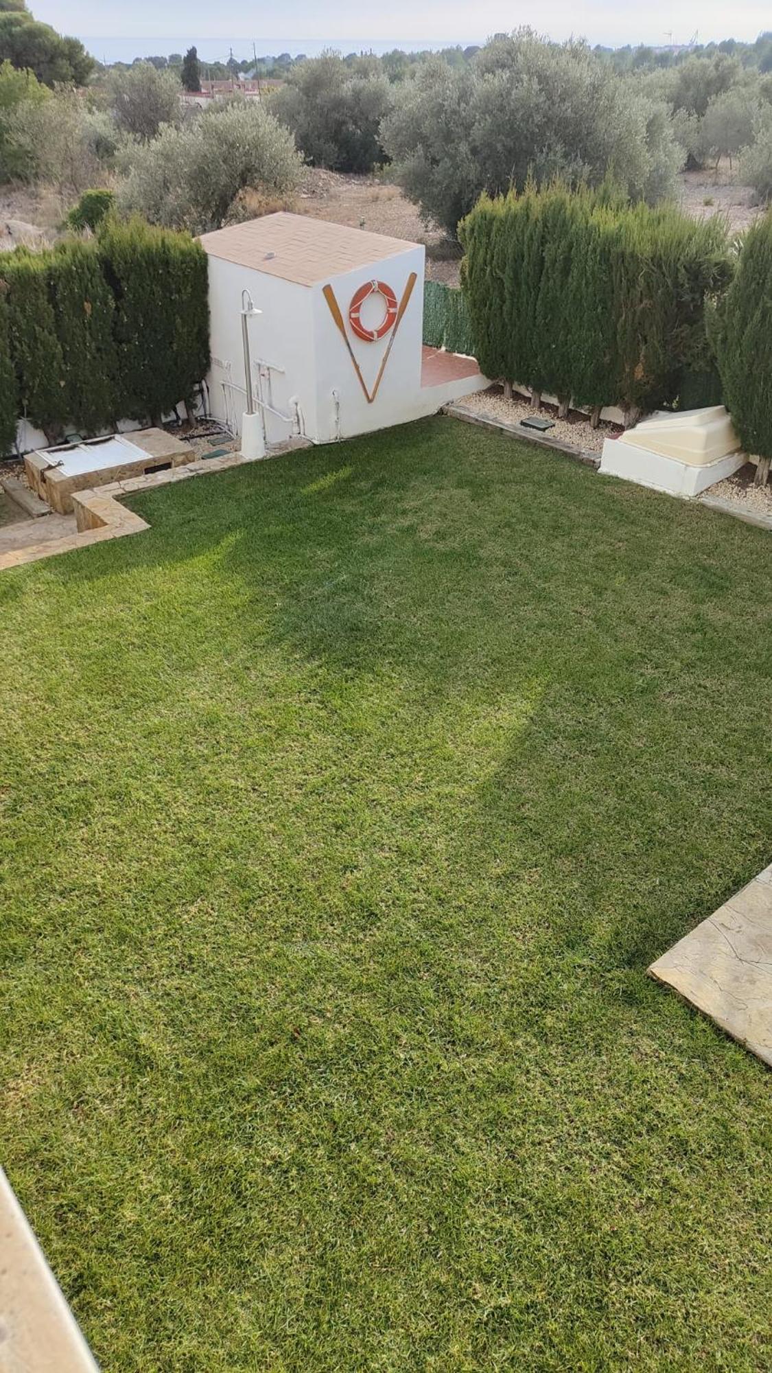 Apartamentos Montsia Mar Sant Carlos de la Ràpita Eksteriør billede