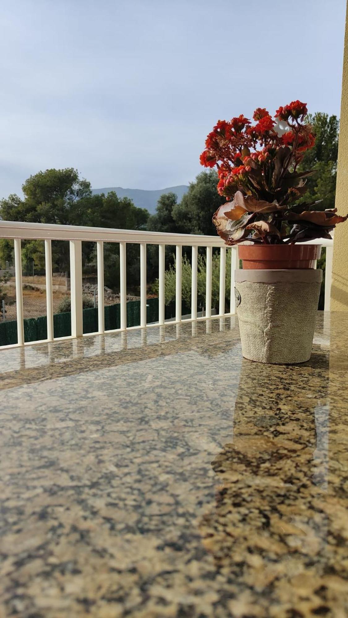 Apartamentos Montsia Mar Sant Carlos de la Ràpita Eksteriør billede